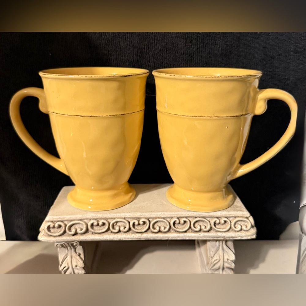 2 Pier 1 Martillo Mango retired mugs. 12 oz